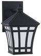 1-Light Outdoor Wall Lantern, Black