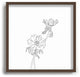 The Colour Study Botanical Illustration Joan Recessed Framing Square