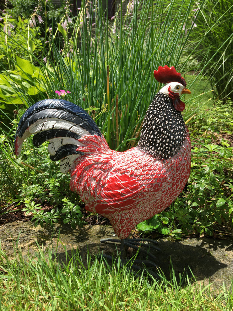 12" Rhode Island Rooster