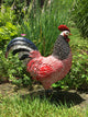 12" Rhode Island Rooster