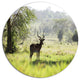 Solitary Antelope In Green Park, African Landscape Round Wall Art, 23"