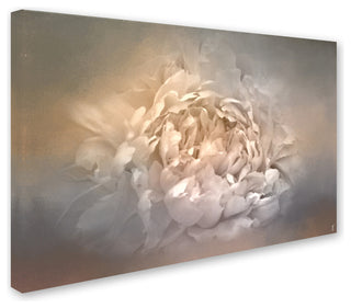 Jai Johnson 'Blushing Silver And Gold Peony' Canvas Art, 32 x 22