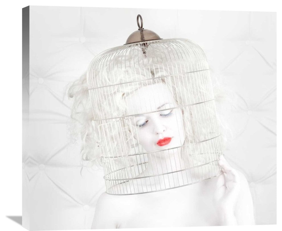 "Birdcage Love" Stretched Canvas Giclee by John Andre Aasen, 30x27"