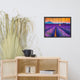 Faux Wood Lavender Fields and Sunset Landscape Framed Photo Paper Wall Art Print, Black, 18" X 24"