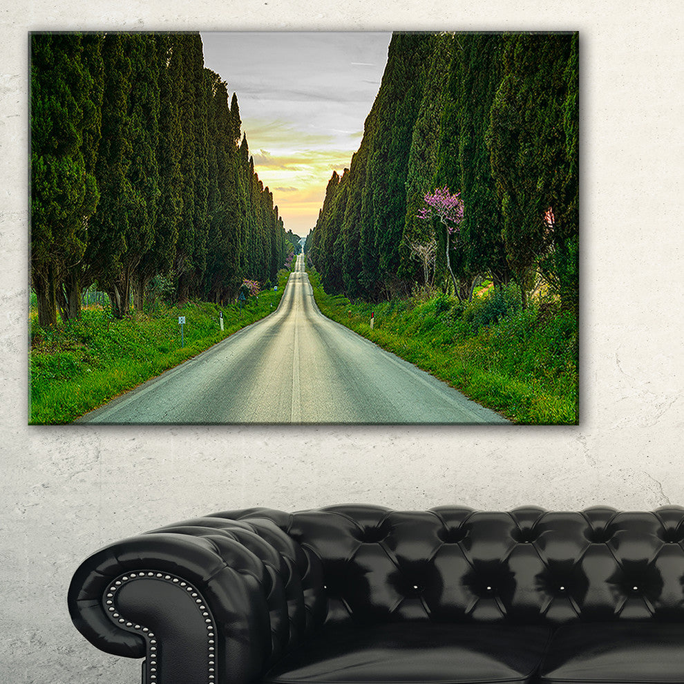 "Straight Road Through Cypress Trees" Landscape Wall Art, 40"x20"