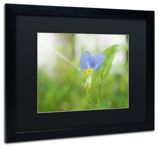 PIPA Fine Art 'Asiatic Dayflower' Matted Framed Art, 20x16