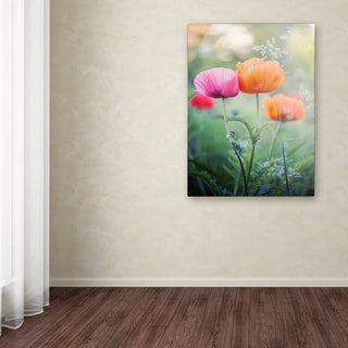 'Love Me Again' Canvas Art by Philippe Sainte-Laudy