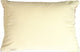 Pillow Decor - Fresh Apples on Blue Rectangular Throw Pillow