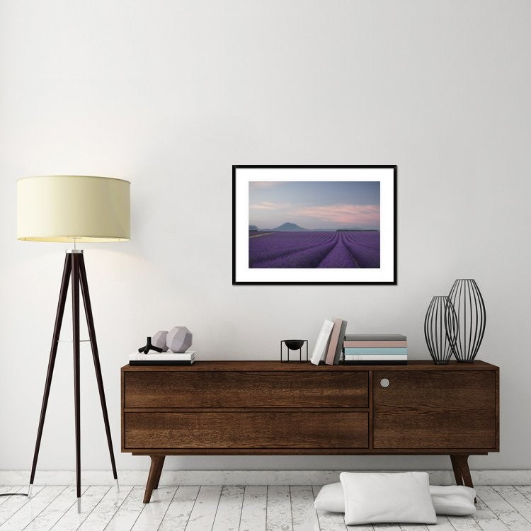 "Lavender Field" Framed Digital Print by Rostovskiy Anton, 38"x28"