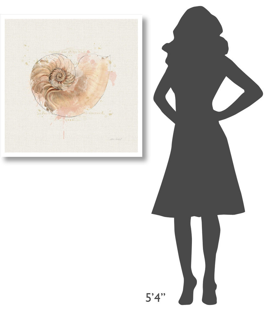 "Shell Collector II" Digital Paper Print by Katie Pertiet, 32"x32"