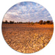 Amazing View Of African Landscape, Landscape Round Wall Art, 11"