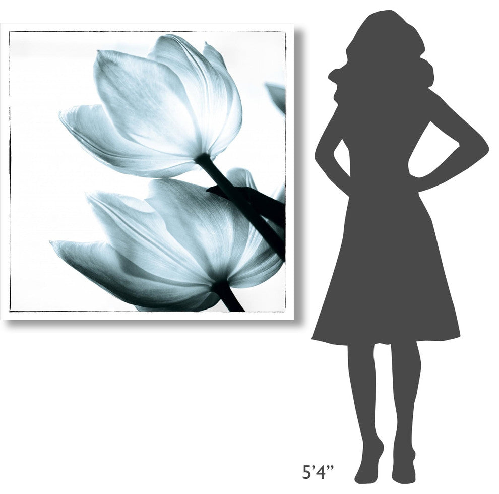 "Translucent Tulips II Sq Aqua" Paper Print by Debra Van Swearingen, 42"x42"