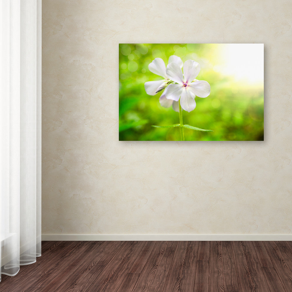 PIPA Fine Art 'Beauty of the Forest Floor' Canvas Art, 47x30
