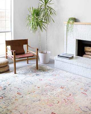 Distressed Clara Area Rug by Loloi, Light Gray/Multi, 9'3"x13'