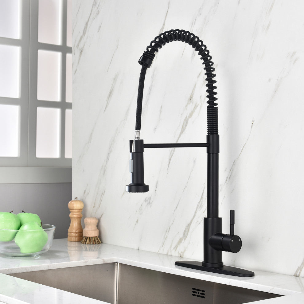 Wellfor Single Handle Kitchen Sink Faucet With Pull Down Sprayer