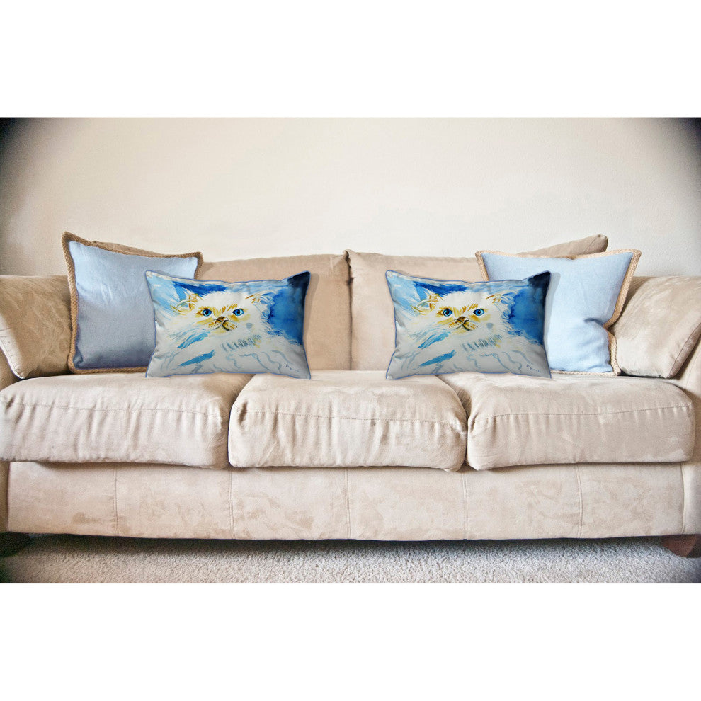 Junior the Cat Large Indoor/Outdoor Pillow 16x20