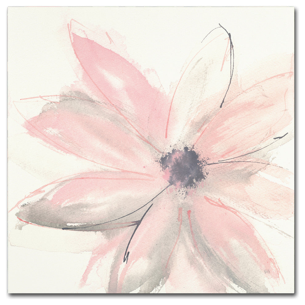 Chris Paschke 'Blush Clematis I' Canvas Art, 24x24
