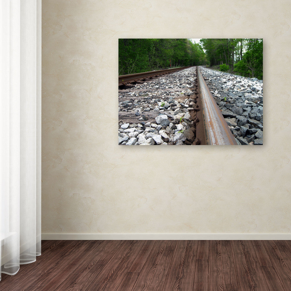 'Guided Journey' Canvas Art by Monica Fleet