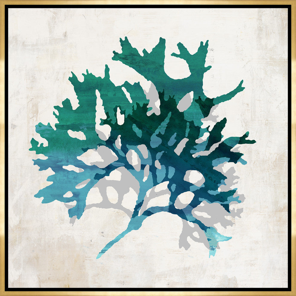 CeruleanCora lIII, 37.25"x37.25", Gold Leaf Gallery Float
