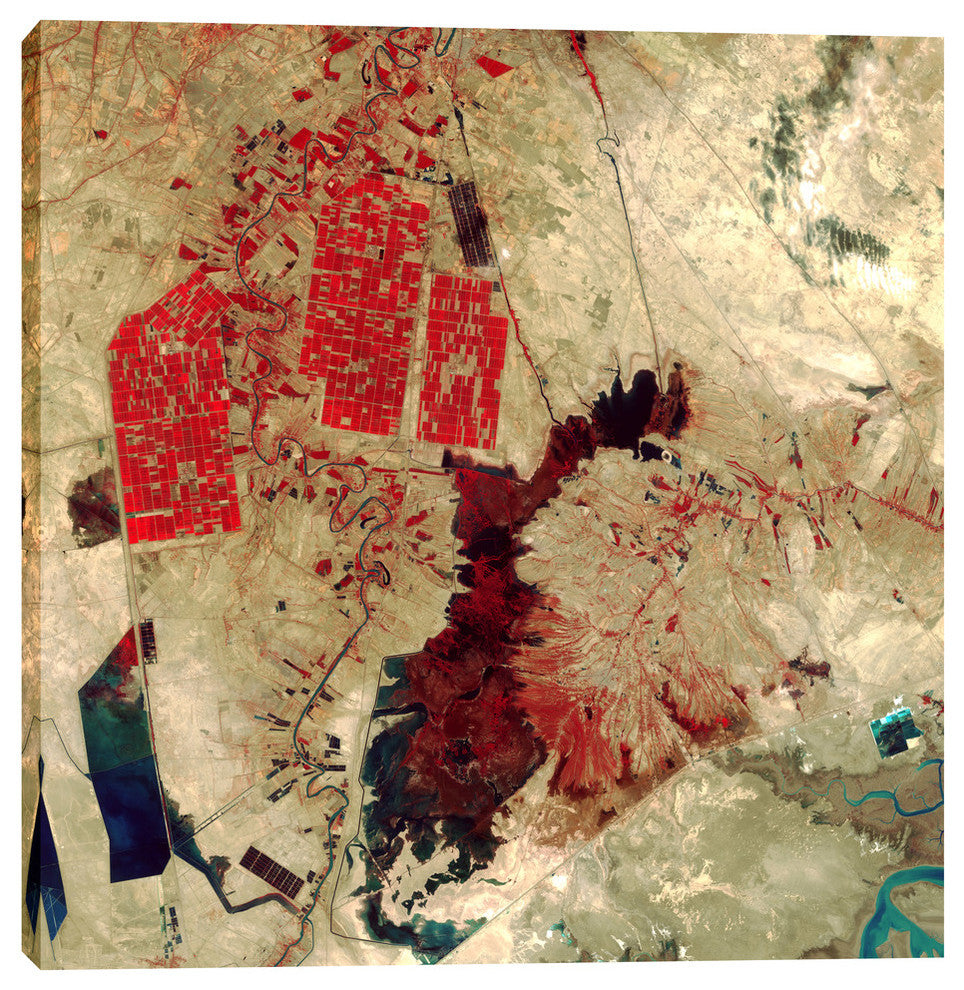 Epic Graffiti "Earth As Art: Sloppy Paint Job" Giclee Canvas Wall Art, 37"x37"