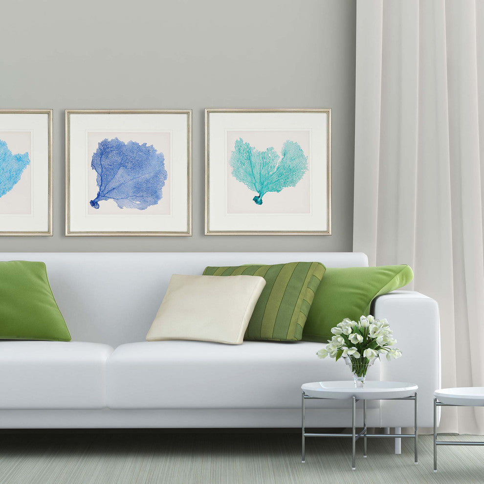 Sea Fan II Framed Art, 3-Piece Set