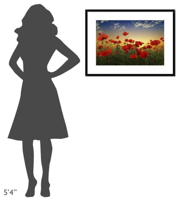 "Poppies" Framed Digital Print by Tais, 32x24"