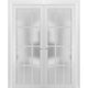 Interior French Double Frosted Glass Doors | Felicia 3312 White Silk  -72x84
