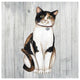 "Country Kitty III on Wood" Digital Paper Print by David Carter Brown, 26"x26"