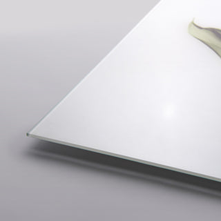 "Calia Lily" Frameless Free Floating Panel Graphic Wall Art, 24"x48"