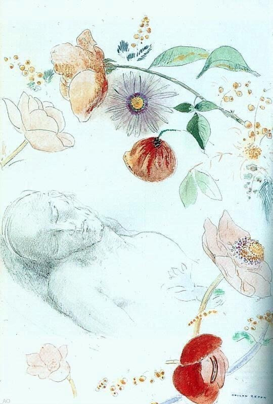 Odilon Redon Bust of a Man Asleep amid Flowers Wall Decal Print