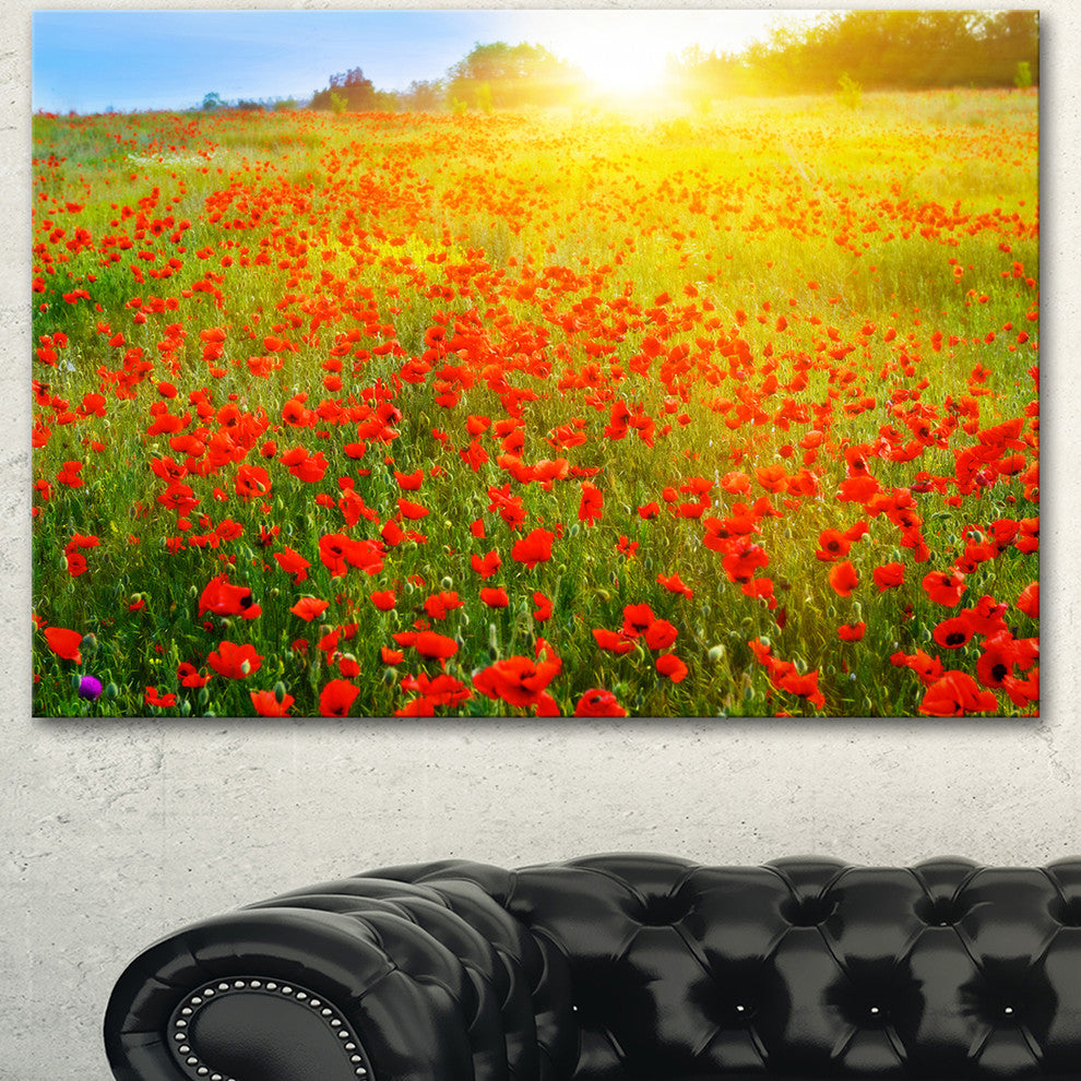 Beautiful Sunshine over Poppy Fields, Floral Canvas Art print, 40"x30"