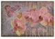 "Orchid Ii" by Cora Niele, Canvas Art, 16"x24"