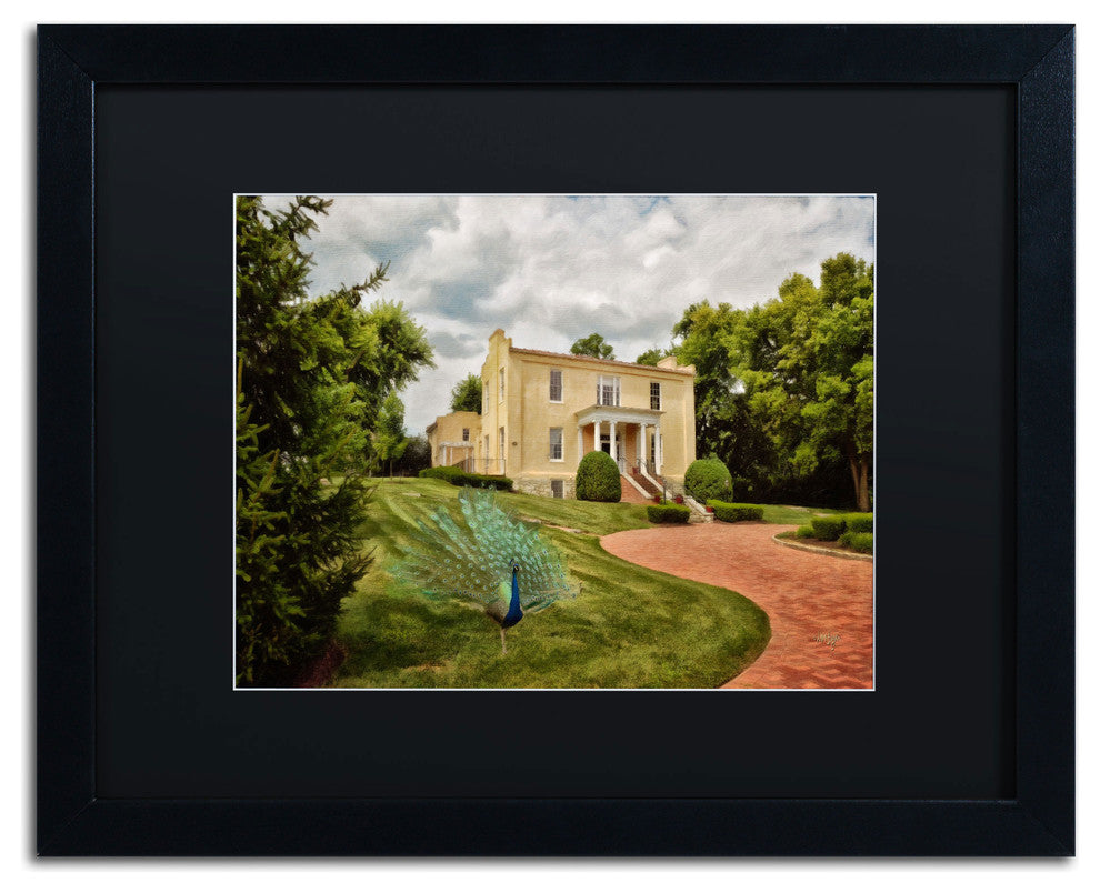 'A Peacock on the Lawn' Matted Framed Canvas Art by Lois Bryan