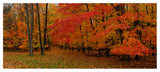 'Ohio Autumn' Canvas Art by Kurt Shaffer