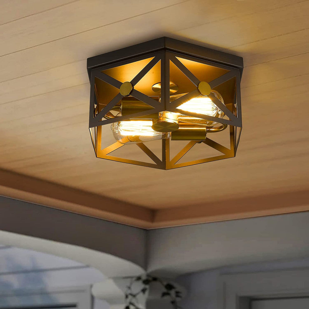 12 inch light ceiling light fixture 2 light black cage Close to Ceiling Light