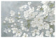 "Spring Beautiful Gray" Digital Paper Print by James Wiens, 20"x14"