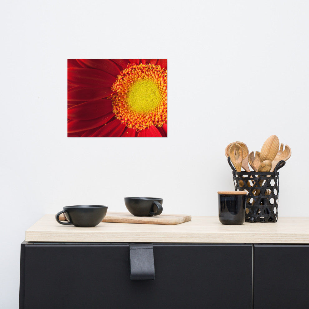 Nature's Beauty Nature Photography, Floral Unframed Wall Art Print, 11" X 14"