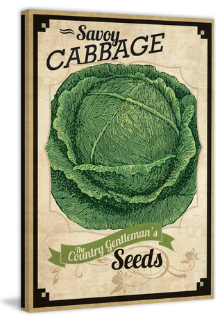 "Seed Packet Cabbage" Painting Print on Canvas