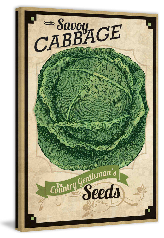 "Seed Packet Cabbage" Painting Print on Canvas