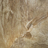 Canyon Stone Luxury Vinyl 4" Sample Tile