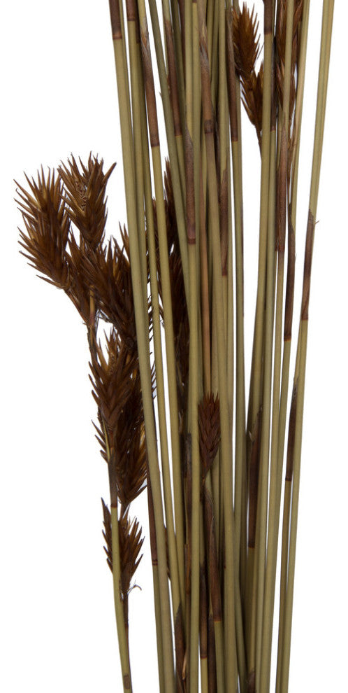 Full view of product on white background showing the complete stem arrangement
