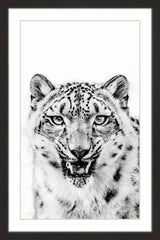 "Second Sight" Framed Painting Print, 30x45