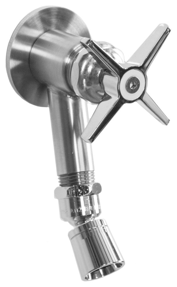 Chrome Plated Wall Mount Foot Shower