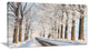 Beautiful Winter Lane at Morning, Large Forest Canvas Art Print, 32"x16"