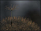 "Standing Toward The Light" Framed Canvas Giclee by Thierry Dufour, 41x31"