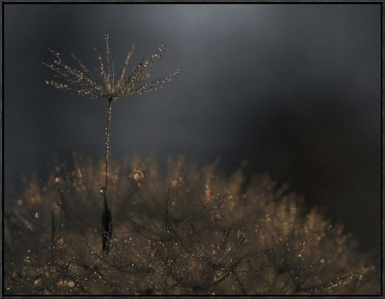 "Standing Toward The Light" Framed Canvas Giclee by Thierry Dufour, 41x31"