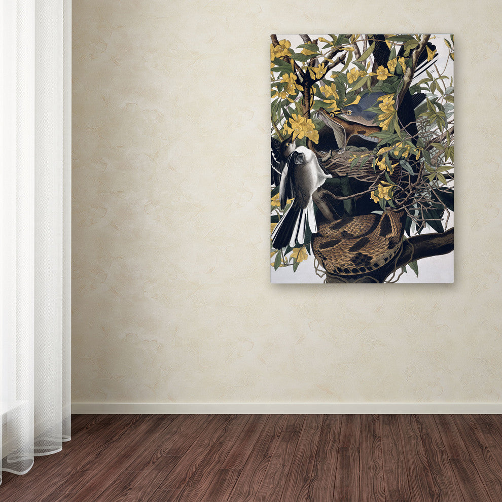 'Mocking Birds and Snake' Canvas Art by John James Audubon