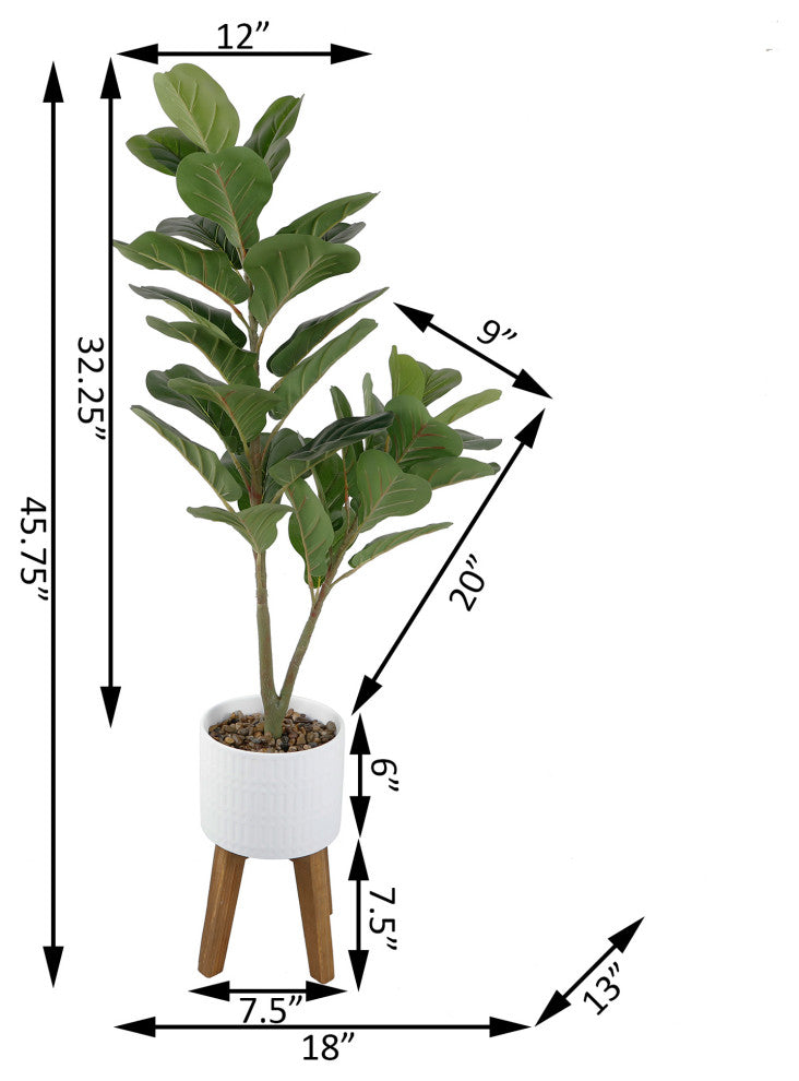 46"œ Fiddle-Leaf In 8"� Roman Cement Pot On Wood Stand