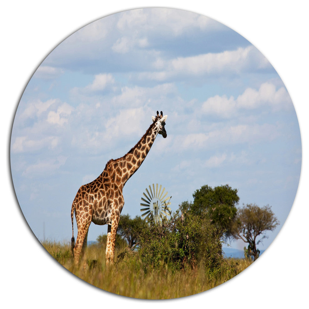 Giraffe In Savannah, Landscape Large Disc Metal Wall Art, 36"