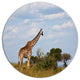 Giraffe In Savannah, Landscape Large Disc Metal Wall Art, 36"
